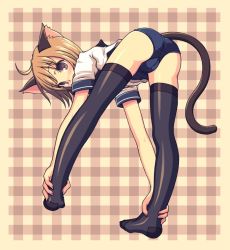 Rule 34 | 1girl, animal ears, artist request, cat ears, cat tail, character request, copyright request, solo, tagme, tail