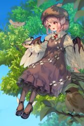 Rule 34 | 1girl, bird, bird on hand, bird wings, blush, branch, brooch, brown dress, brown pantyhose, collared shirt, commentary request, dress, feathered wings, frilled dress, frills, hat, highres, in tree, jewelry, juliet sleeves, long sleeves, mary janes, mystia lorelei, open mouth, pantyhose, pink hair, puffy sleeves, red eyes, shirt, shoes, short hair, sitting, sitting in tree, solo, sparrow, touhou, tree, wankosoba, wing collar, wings