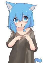 Rule 34 | 1girl, absurdres, animal ear fluff, animal ears, aoi tori, bad id, bad pixiv id, black shirt, blue eyes, blue hair, blush, cat ears, cat girl, cat tail, collarbone, food, food in mouth, hair between eyes, hands up, highres, long hair, looking at viewer, mouth hold, original, pocky, shirt, short sleeves, simple background, solo, tail, teru-chan (aoi tori), upper body, white background