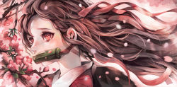 1girl bamboo bit_gag black_hair gag gagged gradient_hair hair_ribbon highres japanese_clothes kamado_nezuko kimetsu_no_yaiba kimono kvover_(applebloom) long_hair mouth_hold multicolored_hair pink_eyes pink_kimono pink_ribbon ribbon solo very_long_hair