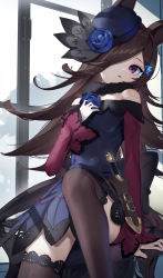 Rule 34 | 1girl, animal ears, bare shoulders, blue flower, blue rose, breasts, brown hair, brown thighhighs, commentary, dagger, dress, flower, fur collar, hand on own chest, hat, hat flower, highres, horse ears, horse girl, horse tail, indoors, knife, leg up, long hair, long sleeves, looking at viewer, off-shoulder dress, off shoulder, purple dress, purple eyes, purple hat, red sleeves, rice shower (umamusume), rose, scottie (phantom2), sheath, sheathed, small breasts, solo, tail, thighhighs, umamusume, weapon, window