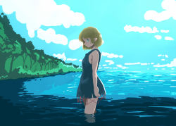 Rule 34 | 1girl, black dress, blonde hair, blue sky, breasts, cloud, commentary, dress, feet out of frame, green eyes, lake, looking at viewer, looking to the side, mizuhashi parsee, no jacket, pointy ears, rangycrow, short hair, sky, sleeveless, sleeveless dress, small breasts, solo, standing, touhou, tree, water