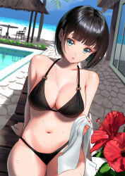 Rule 34 | 1girl, beach, bikini, black bikini, black hair, blue eyes, blue sky, blunt bangs, blurry, blush, bob cut, breasts, chair, cleavage, cloud, collarbone, commentary request, cowboy shot, day, depth of field, dutch angle, flower, hibiscus, highres, large breasts, looking at viewer, lounge chair, medium breasts, mueririko, navel, o-ring, o-ring bikini, o-ring top, original, outdoors, palm tree, parted lips, shed, short hair, sitting, sky, solo, stone floor, swimsuit, towel, tree, water drop, wet, white towel