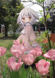Rule 34 | 1girl, :o, ahoge, animal ears, black footwear, blush, brown eyes, commentary, day, dress, flower, frilled dress, frills, from side, grey hair, highres, long sleeves, looking at viewer, looking to the side, nakkar, neckerchief, original, outdoors, parted lips, photo background, pink dress, pink flower, puffy long sleeves, puffy sleeves, shoes, sleeves past wrists, socks, solo, symbol-only commentary, tree, twitter username, white neckerchief, white socks
