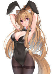 Rule 34 | 1girl, :o, animal ears, armpits, arms behind head, arms up, bare arms, black bow, black leotard, blackheartxiii, blush, bow, bowtie, breasts, brown hair, cleavage, commission, cowboy shot, detached collar, fake animal ears, highres, jpeg artifacts, leotard, long hair, looking at viewer, medium breasts, open mouth, pantyhose, playboy bunny, purple eyes, rabbit ears, rabbit girl, raccoon ears, raccoon girl, raccoon tail, raphtalia, sidelocks, solo, strapless, strapless leotard, tail, tate no yuusha no nariagari, very long hair