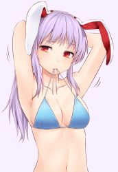 Rule 34 | 1girl, alternate hairstyle, animal ears, armpits, arms up, bare arms, bikini, bikini in mouth, blue bikini, blush, breasts, clothes in mouth, collarbone, commentary request, highres, long hair, looking at viewer, medium breasts, miyo (ranthath), mouth hold, navel, ponytail, purple background, purple hair, rabbit ears, red eyes, reisen udongein inaba, shiny skin, sidelocks, simple background, solo, stomach, sweat, swimsuit, touhou, tying hair, untied bikini, upper body