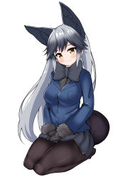 Rule 34 | 10s, 1girl, absurdres, animal ears, black bow, black bowtie, black gloves, black pantyhose, blue jacket, blush, bow, bowtie, breast pocket, brown eyes, buttons, fox ears, fox tail, fur-trimmed sleeves, fur trim, gloves, hands on lap, highres, jacket, kemono friends, long hair, looking at viewer, miniskirt, own hands together, pantyhose, pleated skirt, pocket, sasanoha (sasanoha0712), seiza, silver fox (kemono friends), silver hair, simple background, sitting, skirt, smile, solo, tail, very long hair, white background