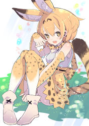 Rule 34 | 10s, 1girl, :d, animal ears, ankle boots, bad id, bad pixiv id, bare shoulders, between legs, blush, boots, bow, bowtie, breasts, brown eyes, cat ears, cat tail, cross-laced footwear, elbow gloves, eyelashes, fang, full body, gloves, grass, hair between eyes, highres, kemono friends, knees together feet apart, looking at viewer, medium breasts, open mouth, orange hair, paw pose, ribbon-trimmed clothes, ribbon-trimmed skirt, ribbon trim, sandstar, serval (kemono friends), serval print, serval tail, shirt, short hair, sitting, skirt, sleeveless, sleeveless shirt, smile, socks, solo, striped tail, tail, tail between legs, tajima ryuushi, thighhighs, white shirt