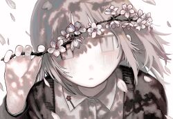 Rule 34 | 1girl, black cardigan, blunt bangs, blush, branch, cardigan, cherry blossoms, collared shirt, commentary request, dress shirt, falling petals, flower, giv 81, grey eyes, hand up, highres, holding, holding branch, ibispaint (medium), light brown hair, long hair, long sleeves, looking at viewer, making-of available, original, pale skin, parted lips, petals, shirt, simple background, slit pupils, solo, triangle mouth, upper body, white background, white flower, white shirt, wind