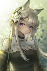 Rule 34 | 1girl, 3 (sanyako1), animal ear fluff, animal ears, arknights, backlighting, black dress, blush, closed mouth, covered collarbone, dark-skinned female, dark skin, day, dress, flower, grey hair, hair flower, hair ornament, heavyrain (arknights), heavyrain (tranquil moss) (arknights), highres, horse ears, long hair, looking at viewer, official alternate costume, outdoors, purple eyes, solo, sunlight, upper body, very long hair, white flower