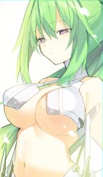 Rule 34 | 1girl, absurdres, bare shoulders, breasts, buran buta, closed mouth, commentary request, expressionless, green hair, green heart (neptunia), hair between eyes, highres, large breasts, long hair, looking ahead, navel, neptune (series), ponytail, power symbol, power symbol-shaped pupils, purple eyes, solo, symbol-shaped pupils, upper body, very long hair
