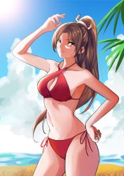 Rule 34 | 1girl, beach, bikini, blue sky, breasts, brown eyes, brown hair, cameltoe, cleavage, fatal fury, grin, hand on own hip, hand up, highres, looking at viewer, medium breasts, navel, ninja, ponytail, sand, shiranui mai, side-tie bikini bottom, sky, smile, snk, snk heroines: tag team frenzy, solo, standing, sun, swimsuit, the king of fighters, thighs, tree, water