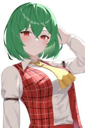 Rule 34 | 1girl, absurdres, anima miko, ascot, closed mouth, crossed bangs, green hair, hand in own hair, highres, kazami yuuka, long sleeves, plaid, plaid vest, red eyes, red vest, shirt, short hair, simple background, solo, touhou, upper body, vest, white background, white shirt, yellow ascot