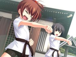 Rule 34 | 2girls, game cg, karate, kawakami kazuko, kawakami momoyo, maji de watashi ni koi shinasai!, multiple girls, aged down
