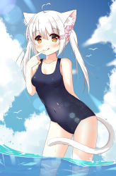 Rule 34 | 1girl, :q, ahoge, animal ears, bare arms, bare shoulders, bird, blue one-piece swimsuit, blue sky, blush, breasts, cat ears, cat girl, cat tail, cleavage, cloud, collarbone, commentary request, day, eyes visible through hair, finger to mouth, hair between eyes, hair ornament, hair scrunchie, hairclip, heart, heart ahoge, highres, leaning forward, long hair, looking at viewer, medium breasts, ocean, old school swimsuit, one-piece swimsuit, orange eyes, original, outdoors, pink scrunchie, polka dot, polka dot scrunchie, school swimsuit, scrunchie, sidelocks, sky, smile, solo, standing, sunlight, swimsuit, tail, tareme, tongue, tongue out, twintails, wading, water, wet, white hair, xiaosamiao