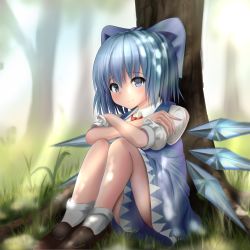 Rule 34 | 1girl, absurdres, blue dress, blue eyes, blue hair, blush, bow, cirno, crossed arms, dress, grass, hair bow, highres, ice, ice wings, looking at viewer, naganegi (yvee2588), puffy short sleeves, puffy sleeves, shoes, short hair, short sleeves, sitting, smile, socks, solo, touhou, white socks, wings