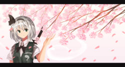 Rule 34 | 1girl, akaiha (akaihagusk), bad id, bad pixiv id, bow, cherry blossoms, green eyes, green vest, hairband, hand up, highres, konpaku youmu, konpaku youmu (ghost), letterboxed, looking to the side, petals, pink background, shirt, short hair, silver hair, smile, solo, touhou, tree, upper body, vest, white shirt