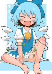 Rule 34 | 1girl, bandaid, bandaid on knee, bandaid on leg, character name, cirno, closed eyes, flower, morning glory, panties, pantyshot, plant, sitting, smile, solo, tan, tanned cirno, touhou, underwear, vines, zannen na hito