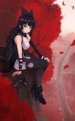 Rule 34 | 1girl, absurdres, black bow, black footwear, black hair, black legwear, black shirt, blake belladonna, blouse, boots, bow, branch, breasts, closed mouth, expressionless, falling leaves, from side, full body, gambol shroud, hair bow, high heel boots, high heels, highres, in tree, knife, leaf, long hair, looking at viewer, medium breasts, planted, planted knife, planted weapon, railroad tracks, rwby, ryoha kosako, shirt, shorts, single sleeve, sitting, sleeveless, sleeveless shirt, solo, tree, two-tone shirt, weapon, white shirt, white shorts, yellow eyes