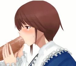 Rule 34 | 00s, 1girl, animated, animated gif, blush, brown hair, fellatio, from side, hetero, large penis, oral, penis, profile, red eyes, rozen maiden, shiro-inu, shiro inu, short hair, solo focus, souseiseki, sweatdrop, uncensored