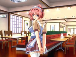 Rule 34 | 1girl, game cg, looking back, non-web source, pink hair, ponytail, purple eyes, restaurant, short hair, solo, tachi-e, thighhighs, waitress