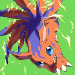 Rule 34 | blue eyes, claws, digimon, digimon (creature), elecmon, electricity, highres, solo