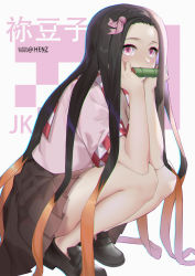 Rule 34 | 1girl, bamboo, bare legs, bit gag, black hair, black skirt, blush, head rest, commentary request, elbows on knees, from side, full body, gag, hair ribbon, hands on own chin, henz, highres, kamado nezuko, kimetsu no yaiba, long hair, looking at viewer, mouth hold, multicolored hair, orange hair, pink eyes, pink ribbon, pink shirt, pleated skirt, ribbon, school uniform, shirt, skirt, solo, squatting, thighs, two-tone hair, very long hair