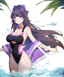 Rule 34 | 1girl, absurdres, black hair, black one-piece swimsuit, blue eyes, breasts, cleavage, collarbone, commentary request, competition swimsuit, cowboy shot, highleg, highleg swimsuit, highres, honkai (series), honkai impact 3rd, large breasts, long hair, looking at viewer, one-piece swimsuit, outstretched arms, purple towel, raiden mei, soaking feet, solo, standing, swimsuit, wading, water, white background, yztp (sanmery)