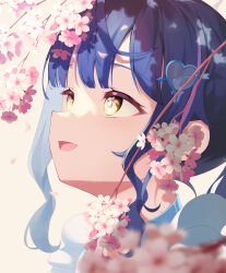 Rule 34 | 1girl, absurdres, akarionaka, amamiya kokoro, arrow hair ornament, blue hair, blunt bangs, blurry, blurry foreground, branch, cherry blossoms, close-up, commentary, eye reflection, fang, flower, from side, hair ornament, heart, heart hair ornament, highres, looking at flowers, looking up, nijisanji, open mouth, pink flower, ponytail, portrait, reflection, sidelocks, simple background, skin fang, solo, virtual youtuber, white background, yellow eyes