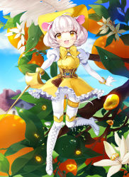 Rule 34 | 1girl, :d, animal ears, belt, boots, bow, buck teeth, cloud, cross-laced footwear, day, dress, feathers, flower, food, frilled dress, frills, fruit, full body, gloves, hat, hinare (hinare777), holding, holding sword, holding weapon, knee boots, lace-up boots, leaf, mouse ears, mouse tail, open mouth, orange (fruit), original, pantyhose, puffy sleeves, rapier, short hair, sky, smile, solo, sword, tail, tassel, teeth, weapon, whiskers, white footwear, white gloves, white hair, white pantyhose, yellow bow, yellow dress, yellow eyes, yellow hat