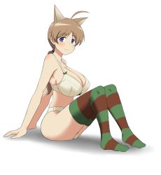 Rule 34 | 1girl, ahoge, animal ears, blue eyes, blush, bra, breasts, brown hair, cat ears, cleavage, closed mouth, collarbone, large breasts, long hair, looking at viewer, looking to the side, lynette bishop, panties, ponytail, simple background, smile, solo, strike witches, striped clothes, striped thighhighs, thighhighs, underwear, underwear only, white background, white bra, white panties, world witches series