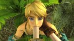 Rule 34 | 10s, 1boy, 1girl, 3d, androgynous, animated, arabian clothes, bare shoulders, blonde hair, blue eyes, brown gloves, compass, crossdressing, detached sleeves, erection, eyeshadow, fellatio, female pov, futa with male, futanari, gerudo set (zelda), gloves, green shirt, halterneck, hand on another&#039;s face, highres, hyrule warriors, irrumatio, itsmorti, kneeling, leaf, link, linkle, looking at viewer, looking down, looping animation, makeup, male focus, nintendo, oral, outdoors, penis, penis out, plant, pov, shirt, short hair, solo focus, source filmmaker (medium), standing, swept bangs, tecmo, testicles outside, the legend of zelda, the legend of zelda: breath of the wild, trap, uncensored, video