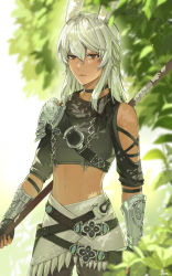 Rule 34 | 1boy, animal ear fluff, animal ears, armor, warrior of light (ff14), black choker, black gloves, black pants, black shirt, blurry, blurry background, brown eyes, choker, closed mouth, clothing cutout, commentary request, crop top, dark skin, day, depth of field, fictional persona, final fantasy, final fantasy xiv, fingerless gloves, gloves, hair between eyes, highres, holding, hu kotora, male focus, midriff, navel, outdoors, pants, pauldrons, rabbit ears, shirt, short sleeves, shoulder armor, shoulder cutout, silver hair, single pauldron, solo, standing, viera