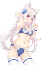Rule 34 | 1girl, :o, animal ear fluff, animal ears, bare arms, bare shoulders, blue bra, blue flower, blue panties, blue rose, blush, bow, bow bra, bow panties, bra, breasts, cat ears, cat girl, cat tail, cleavage, collarbone, commentary, flower, gluteal fold, hair between eyes, hair flower, hair ornament, hair scrunchie, hairclip, hand in own hair, highres, medium breasts, navel, original, panties, parted lips, red eyes, rose, sakuraba hikaru (loveindog), scrunchie, simple background, single wrist cuff, solo, tail, thighhighs, underwear, underwear only, white background, white scrunchie, white thighhighs, wrist cuffs, x hair ornament