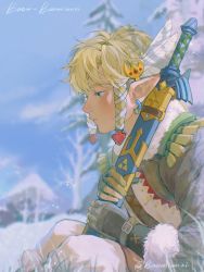Rule 34 | 1boy, artist name, baomianzi, blonde hair, blue eyes, blurry, blurry background, closed mouth, day, earrings, feather hair ornament, feathers, fingerless gloves, from side, fur trim, gloves, hair ornament, hair ribbon, highres, jewelry, link, male focus, master sword, nintendo, outdoors, pointy ears, profile, ribbon, snow, snowquill set (zelda), solo, the legend of zelda, the legend of zelda: breath of the wild, tree, tress ribbon
