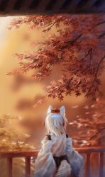 Rule 34 | 1girl, animal ears, autumn leaves, blurry, blurry background, branch, from behind, hat, highres, inubashiri momiji, leaf, long sleeves, maple leaf, red hat, satellitedragon, short hair, solo, tail, tokin hat, touhou, upper body, white hair, wolf ears, wolf girl, wolf tail