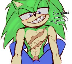 2boys anal blue_eyes completely_nude furry green_hair hauringu long_hair looking_at_viewer multiple_boys no_humans nude pectorals penis scar scar_on_chest scourge_the_hedgehog sharp_teeth sonic_(series) sonic_the_hedgehog teeth toned toned_male yaoi