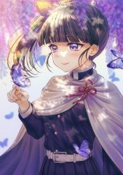 Rule 34 | 1girl, animal, animal on hand, bad id, bad pixiv id, belt, belt buckle, black hair, black jacket, black skirt, blurry, blurry background, blurry foreground, blush, buckle, bug, butterfly, butterfly hair ornament, butterfly on hand, cloak, closed mouth, commentary request, depth of field, fingernails, flower, hair ornament, hand up, highres, honami (yths4221), insect, jacket, kimetsu no yaiba, long sleeves, looking away, looking to the side, pleated skirt, purple eyes, purple flower, side ponytail, skirt, smile, solo, tsuyuri kanao, white belt, white cloak, wisteria
