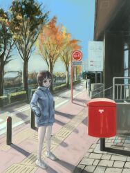 Rule 34 | 1girl, absurdres, blue sky, brown eyes, brown hair, building, drawstring, full body, grey jacket, grey shorts, hand in pocket, highres, jacket, looking at viewer, morning, okura lino, original, outdoors, postbox (outgoing mail), railing, road, scenery, short hair, shorts, sky, solo, standing, street, tactile paving, tree, urban, white footwear