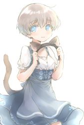 Rule 34 | 1girl, alternate costume, animal ears, bad id, bad pixiv id, blonde hair, blue eyes, blush, buttons, cat ears, cat tail, cowboy shot, dirndl, fake animal ears, german clothes, hair between eyes, highres, holding, kantai collection, karin bluez3, short hair, short sleeves, simple background, solo, tail, white background, z1 leberecht maass (kancolle)