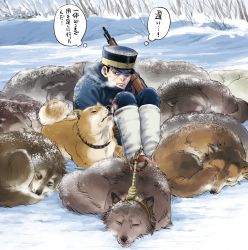 Rule 34 | 1boy, animal, arisaka, black eyes, black hair, black hat, blue coat, blue pants, bolt action, brown gloves, coat, cold, commentary request, day, dog, full body, gaiters, gloves, golden kamuy, gun, haichutksmaji, hat, highres, holding, holding gun, holding weapon, hood, hood down, hooded coat, imperial japanese army, kepi, long sleeves, looking at another, male focus, military, military hat, military uniform, muscular, muscular male, one eye covered, outdoors, pants, rifle, ryu (golden kamuy), sitting, sleeping, snow, solo, star (symbol), sweat, thinking, translation request, tree, tsukishima hajime, two-tone headwear, uniform, weapon, yellow hat