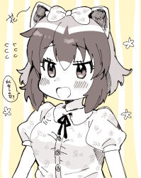 Rule 34 | 1girl, animal ears, blush, buttons, collared shirt, common raccoon (kemono friends), eyelashes, floral print, floral print shirt, greyscale with colored background, hair between eyes, kemono friends, monochrome, open mouth, print shirt, puffy short sleeves, puffy sleeves, raccoon ears, raccoon girl, ribbon, shirt, short hair, short sleeves, solo, speech bubble, striped background, suicchonsuisui