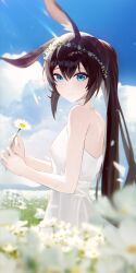 Rule 34 | 1girl, absurdres, amiya (arknights), arknights, blue eyes, blue sky, blush, breasts, brown hair, cloud, cloudy sky, dress, flower, highres, looking at viewer, num s1x, ponytail, rabbit ears, sky, small breasts, solo, white dress