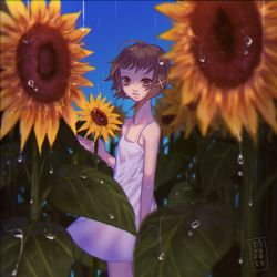 Rule 34 | 1girl, ahoge, arm at side, asymmetrical hair, blue sky, blurry, blurry foreground, brown eyes, brown hair, closed mouth, day, divalina, dress, eyes in shadow, flat chest, flower, from side, hair ornament, hairclip, hand up, iwakura lain, looking at viewer, rain, serial experiments lain, shaded face, short hair, sky, solo, standing, sun shower, sundress, sunflower, water drop, white dress, x hair ornament