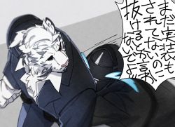 Rule 34 | 1boy, 1other, ambiguous gender, animal ears, arknights, black suit, chest hair, crying, doctor (arknights), formal, from above, furry, furry male, male focus, mountain (arknights), nagiko (mangalove1111), official alternate costume, partially unbuttoned, scar, scar across eye, scar on face, suit, tiger boy, tiger ears, translation request, white fur, white hair