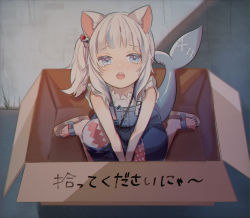 Rule 34 | 1girl, 852 box, :o, animal ears, bag, bite mark, blue bag, blue eyes, blue hair, blue nails, blush, box, cardboard box, cat ears, commentary, crack, cracked wall, crying, crying with eyes open, english commentary, female focus, fins, fish tail, for adoption, frills, full body, gawr gura, gawr gura (casual), grass, grey hair, hair ornament, handbag, highres, hololive, hololive english, in box, in container, long hair, looking at viewer, multicolored hair, nail polish, official alternate costume, open mouth, outdoors, shark tail, sharp teeth, shoulder bag, side ponytail, sitting, solo, stitches, streaked hair, tail, tearing up, tears, teeth, toenail polish, toenails, translated, upper teeth only, v arms, virtual youtuber, wariza, white hair