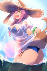 Rule 34 | 1girl, air bubble, animal ears, arm up, ass, bikini, blouse, blue bikini, blue sky, blurry, blurry foreground, bracelet, breasts, brown hat, bubble, clothes lift, cloud, fang, fate/grand order, fate (series), fluffy, fox ears, fox tail, from below, from side, green eyes, green hat, hair between eyes, hand up, hat, highres, holding, jewelry, large breasts, long hair, looking at viewer, looking down, one eye closed, open mouth, outdoors, partially submerged, partially underwater shot, purple hair, see-through, shirokuma1414, shirt, shirt lift, short sleeves, sidelocks, skin fang, sky, smile, solo, standing, straw hat, submerged, sunlight, swimsuit, tail, tamamo (fate), tamamo no mae (fate/extra), tamamo no mae (swimsuit lancer) (fate), tamamo no mae (swimsuit lancer) (second ascension) (fate), thighs, underwater, wading, water, water drop, wet, wet clothes, wet shirt, white shirt
