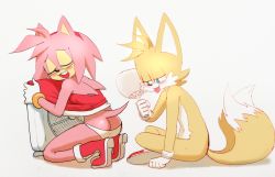 1boy 1girl amy_rose ass butt_crack clothes_lift highres panties skirt skirt_lift sonic_(series) sonic_(series) sparkydb tail tails_(sonic) underwear