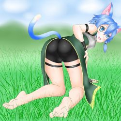 Rule 34 | 1girl, all fours, animal ears, armor, artist request, ass, bare shoulders, barefoot, bike shorts, blue eyes, blue hair, blush, breastplate, cat ears, cat tail, embarrassed, fingerless gloves, from behind, gloves, grass, looking at viewer, open mouth, petticoat, shiny clothes, short hair, short shorts, shorts, sinon, sinon (sao-alo), solo, sword art online, tail
