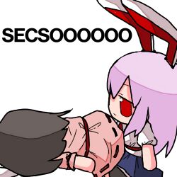 Rule 34 | 2girls, animal ears, blue skirt, commentary, doggystyle, dress, english text, fumo (doll), inaba tewi, kasuya baian, long hair, meme, multiple girls, necktie, parody, pink dress, purple hair, rabbit, rabbit ears, red eyes, red tie, reisen udongein inaba, sex from behind, shirt, simple background, skirt, smile, touhou, white background, white shirt